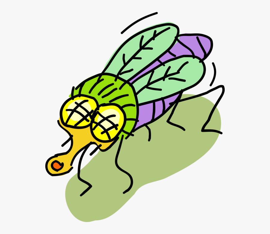 Transparent House Fly Png - Cartoon, Transparent Clipart