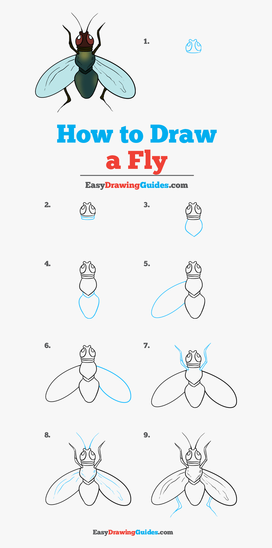 Fly Drawing Clip Art - Draw A Fly Easy, Transparent Clipart