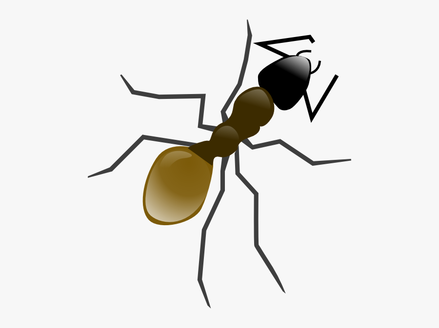 Ant Clip Art, Transparent Clipart