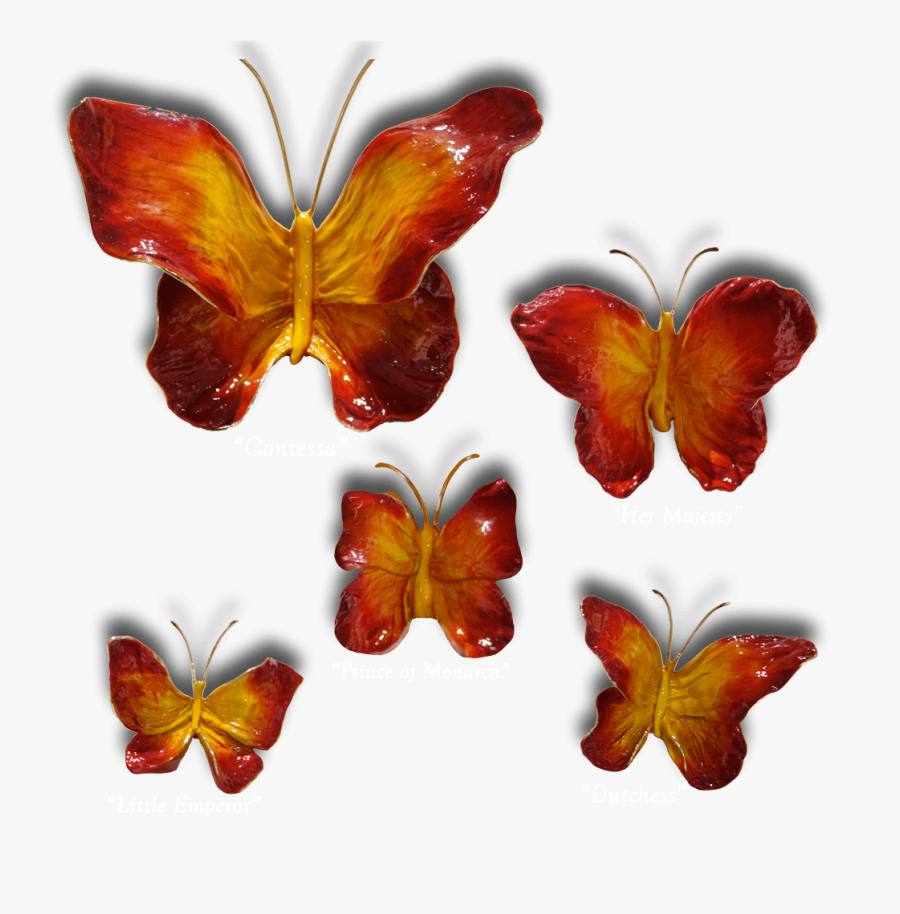 Clip Art Butterflies Exposures International Gallery - Brush-footed Butterfly, Transparent Clipart