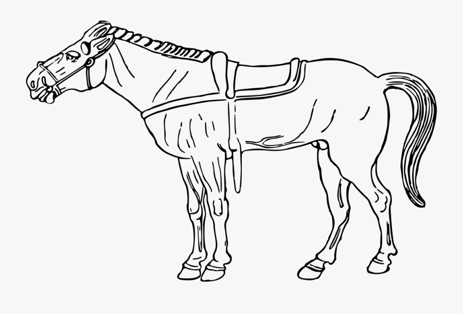 Horse - Dibujos De Un Caballo, Transparent Clipart