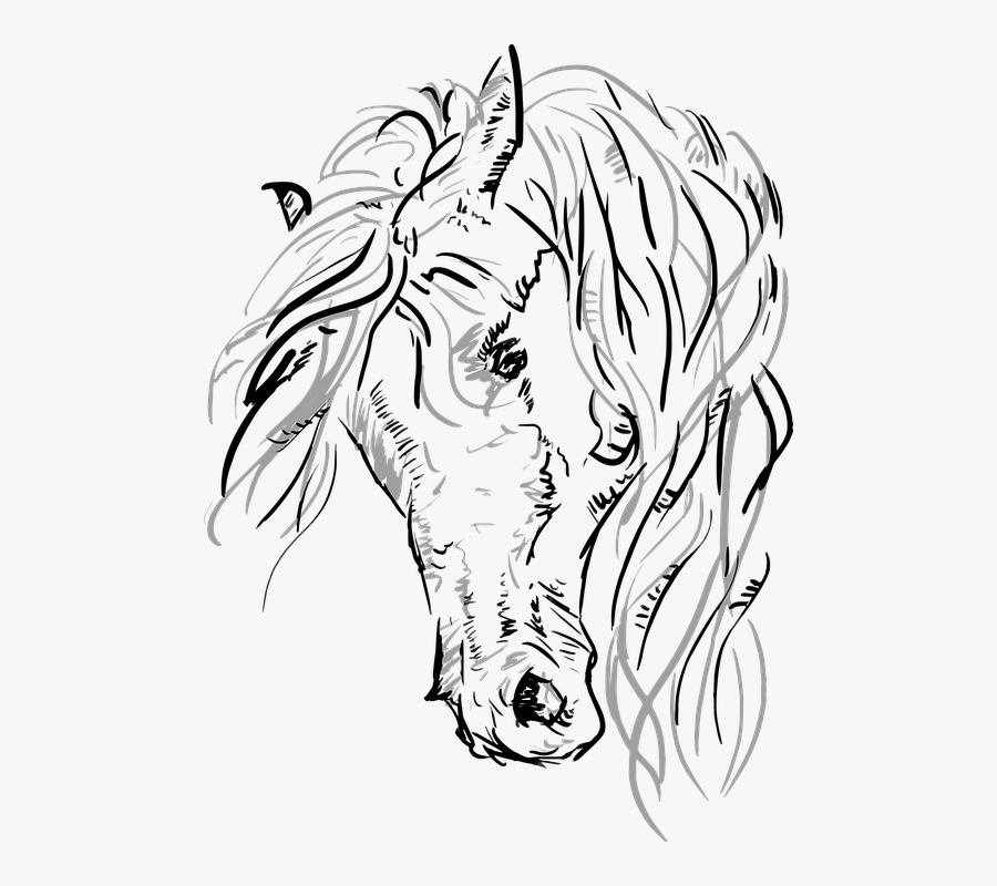 Vector, Horse, Horsehead, Grayscale, Sketch - Busca Dibujos De Caballos, Transparent Clipart
