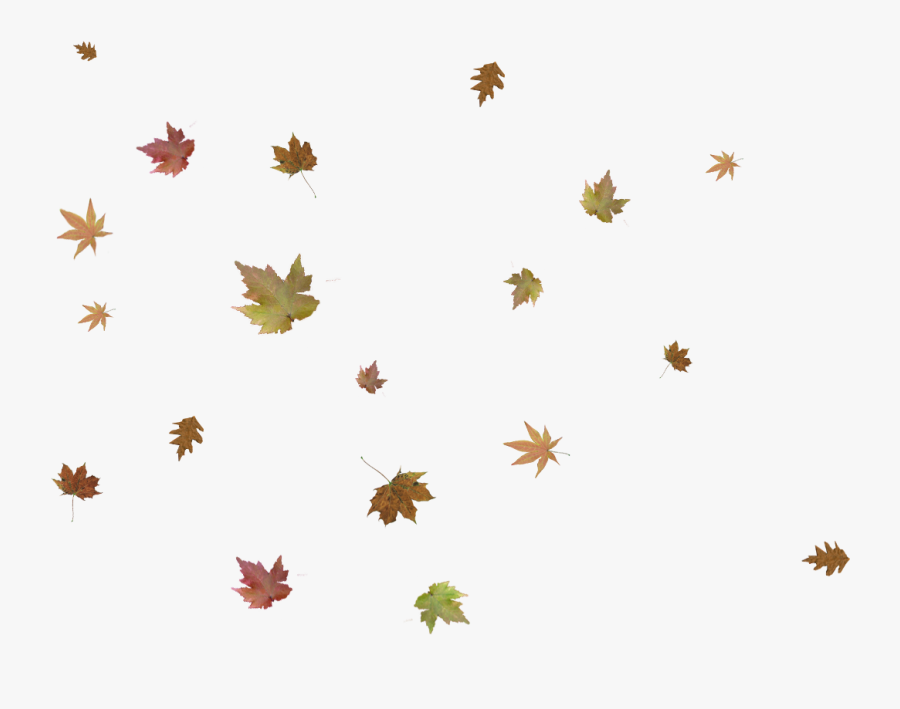 Falling Fall Leaves Png, Transparent Clipart