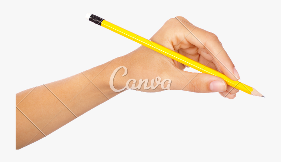 Pencil,writing Instrument Pen,writing Implement,drawing - Transparent Background Pencil In Hand, Transparent Clipart