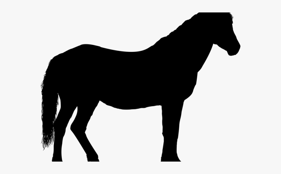 Horse Clipart Transportation - Standing Vector Horse Silhouette, Transparent Clipart