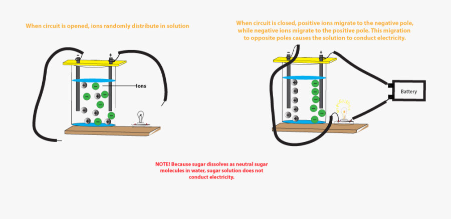 Positive Ions Move To Negative Pole While Negative - Salt Solution Conduct Electricity, Transparent Clipart