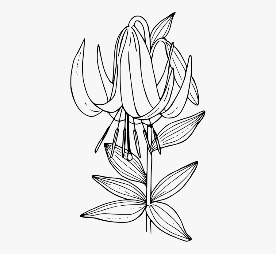 Symmetry,monochrome Photography,petal - Line Art, Transparent Clipart