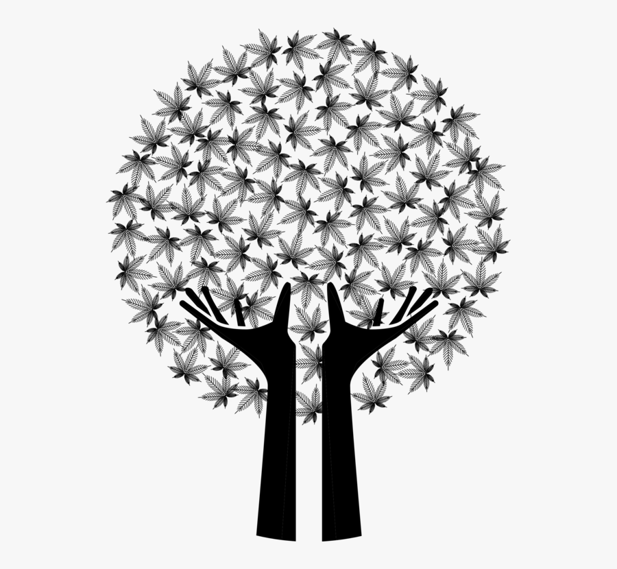 Plant,flora,symmetry - Black And White Marijuana Tree, Transparent Clipart