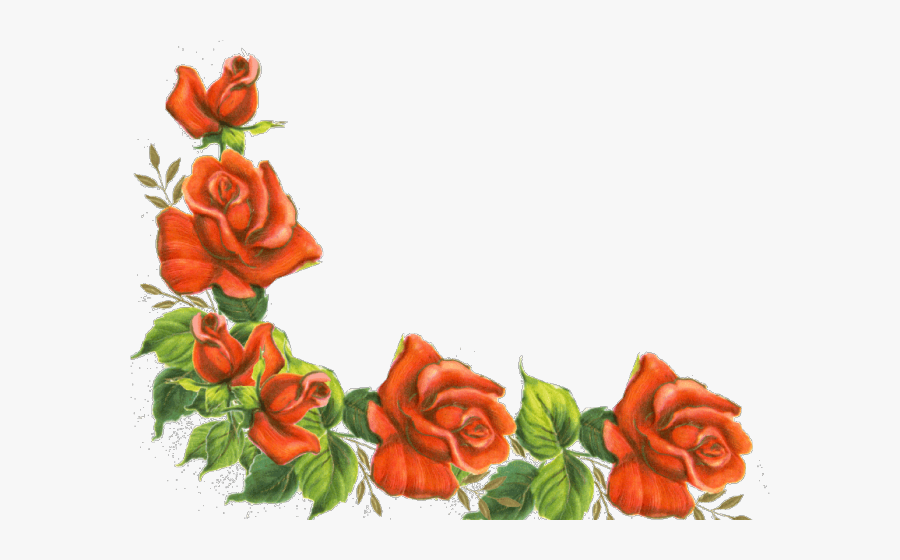 Red Rose, Transparent Clipart