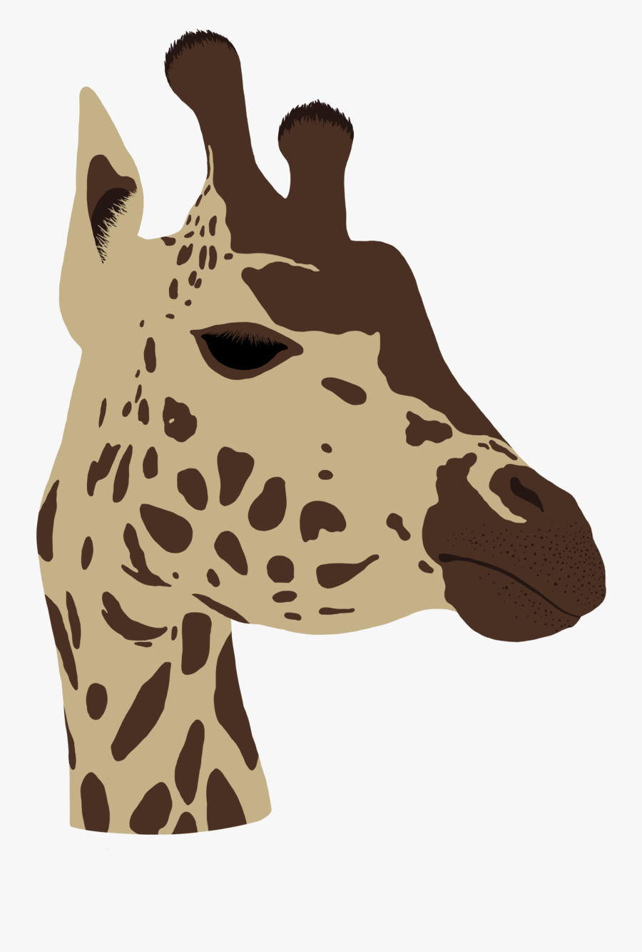 Transparent Giraffe Head Png - Giraffe, Transparent Clipart