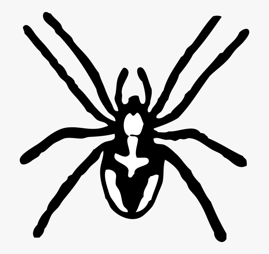 Spider Black And White Spider Clipart Black And White - Spider Pictures Black And White, Transparent Clipart