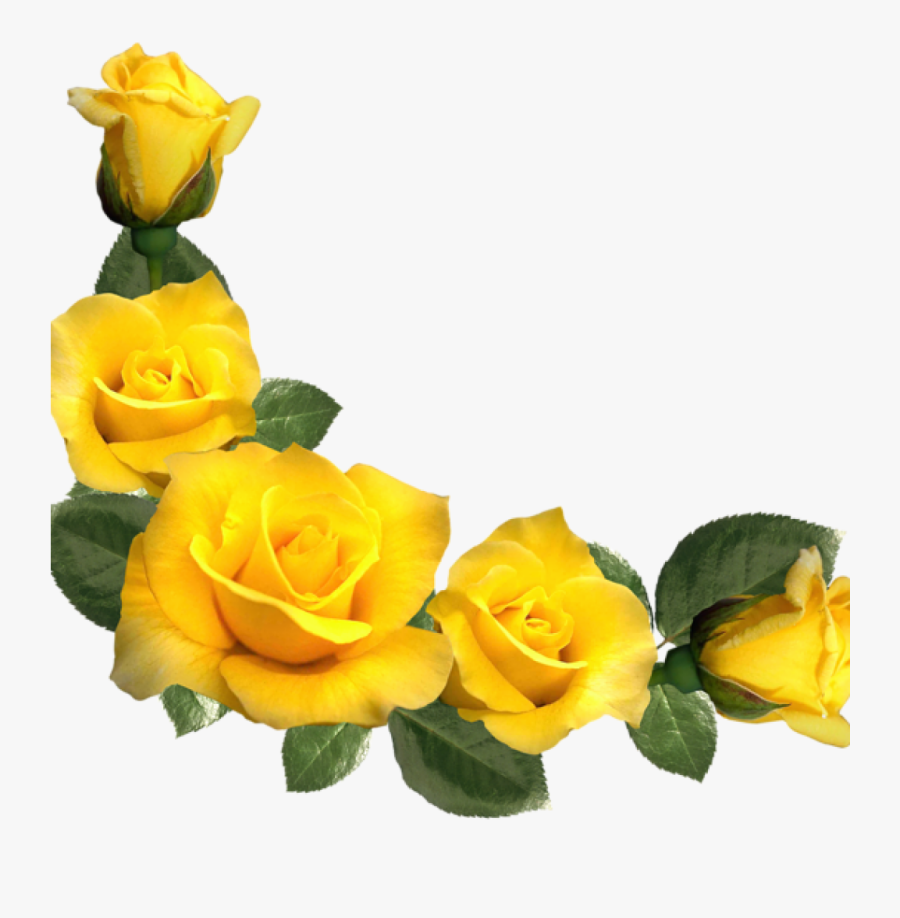 Yellow Roses Clip Art Beautiful Yellow Roses Decor - Border Yellow Flowers Png, Transparent Clipart