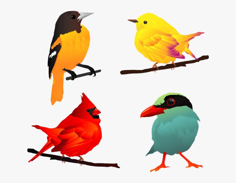 Comic Bird Free Vector - 4 Birds Clipart Png, Transparent Clipart