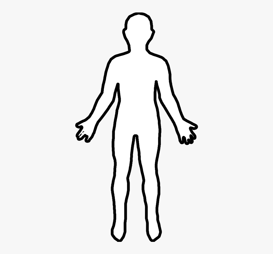 Transparent Body Outline Png Figure Drawing , Free Transparent