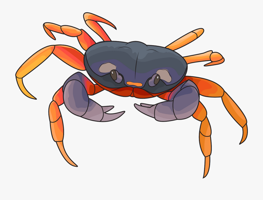 Freshwater Crab, Transparent Clipart