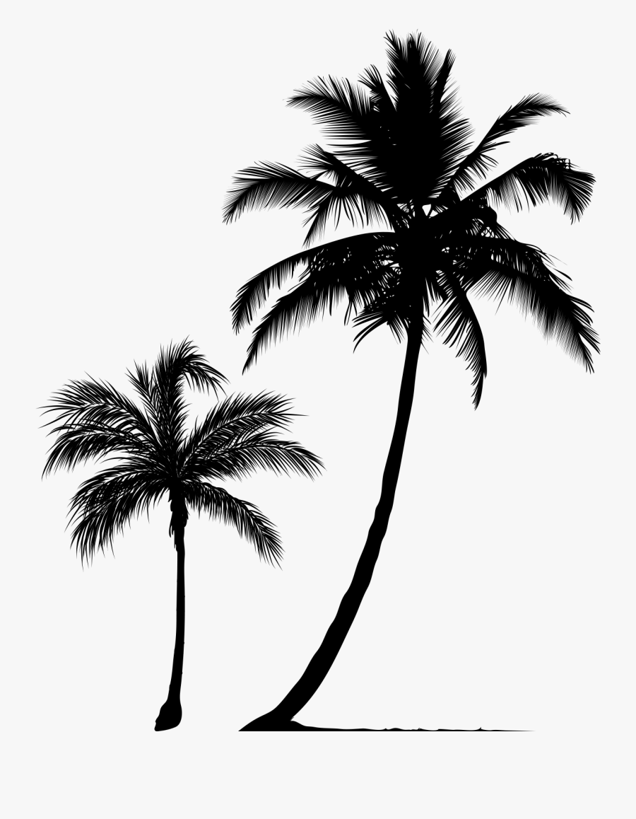 Arecaceae Tree Silhouette Clip Art - Black Palm Tree Png , Free