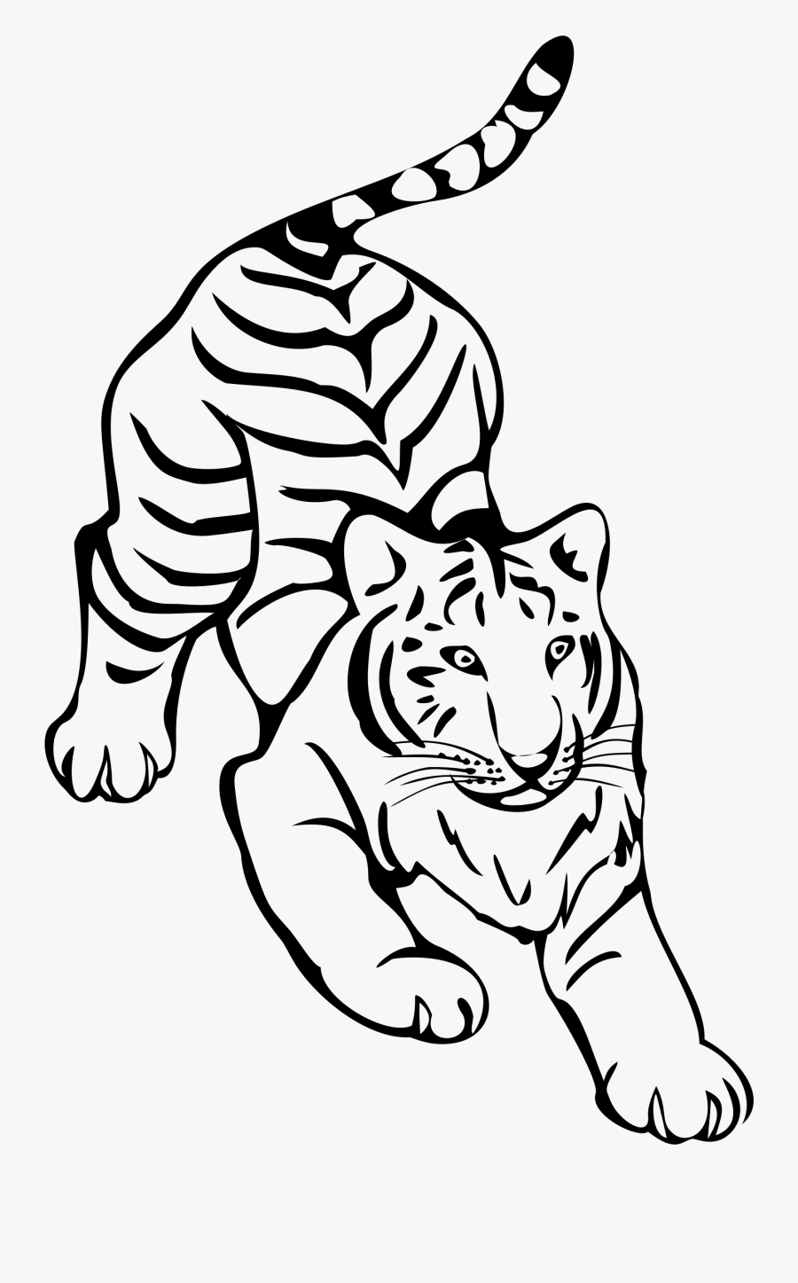 Tiger Line Art By Naobim - Tiger Line Art, Transparent Clipart