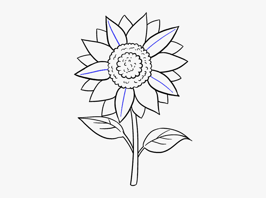 Clip Art How To Draw A - Sunflower Drawing, Transparent Clipart