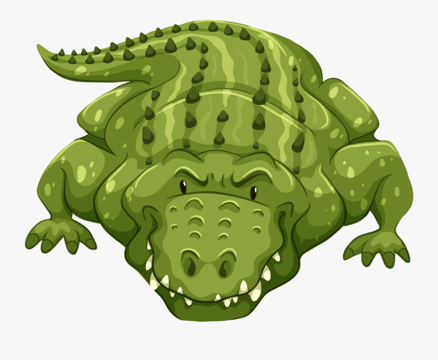Crocodile Clipart Jungle - Alligator Front View, Transparent Clipart
