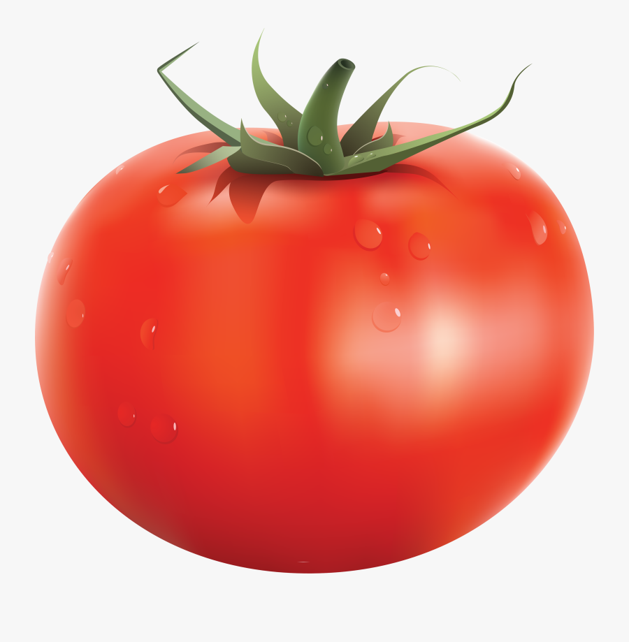 Tomatoes Drawing Red Tomato Transparent Png Clipart - Tomato Png, Transparent Clipart