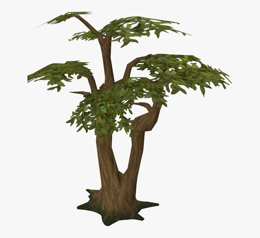 Jungle Tree Png Transparent Picture - Jungle Tree Transparent Background, Transparent Clipart