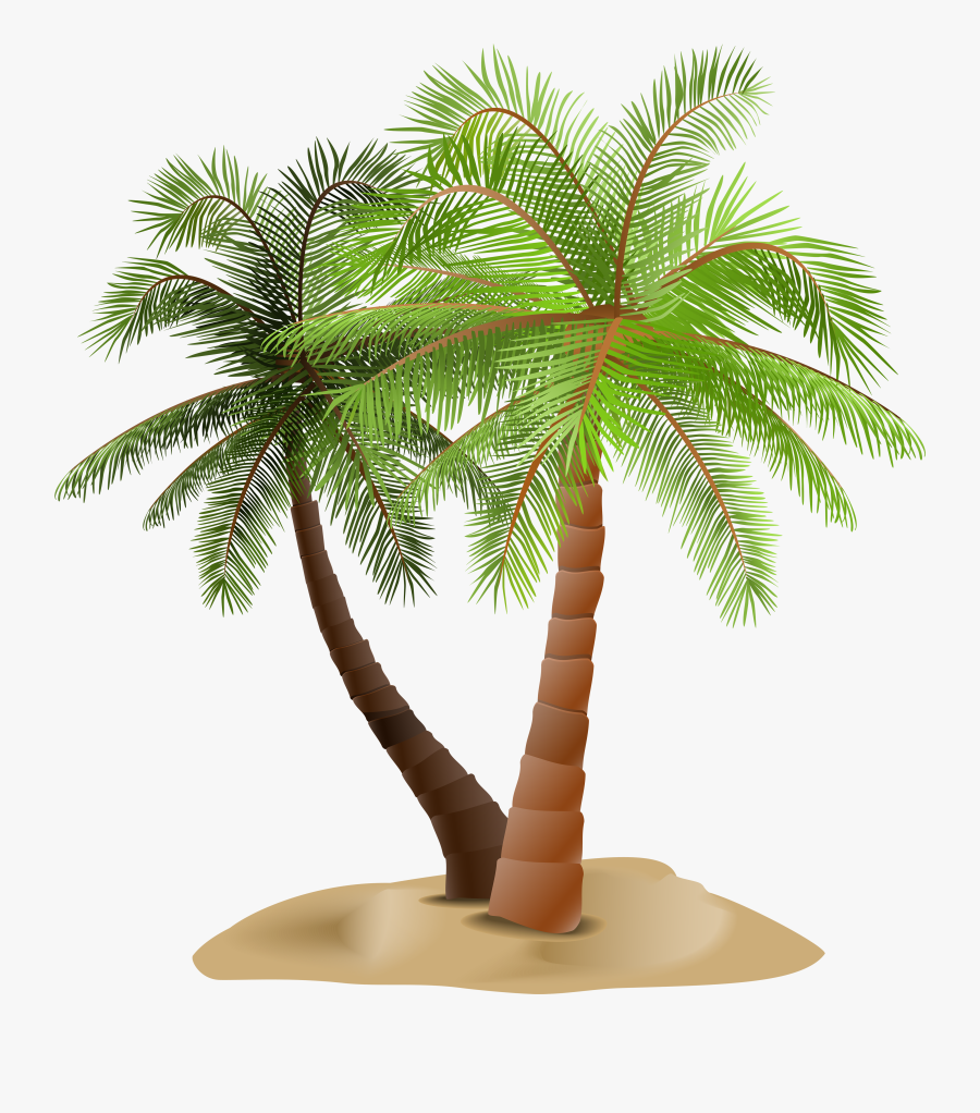 Desert Tree Clipart - Palm Trees, Transparent Clipart