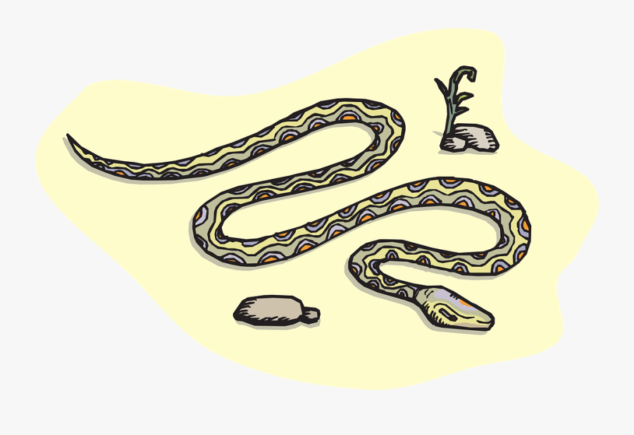 Snake, Sand, Rocks, Desert, Reptile, Sprout, Slithering - Sand Snake Cartoon, Transparent Clipart