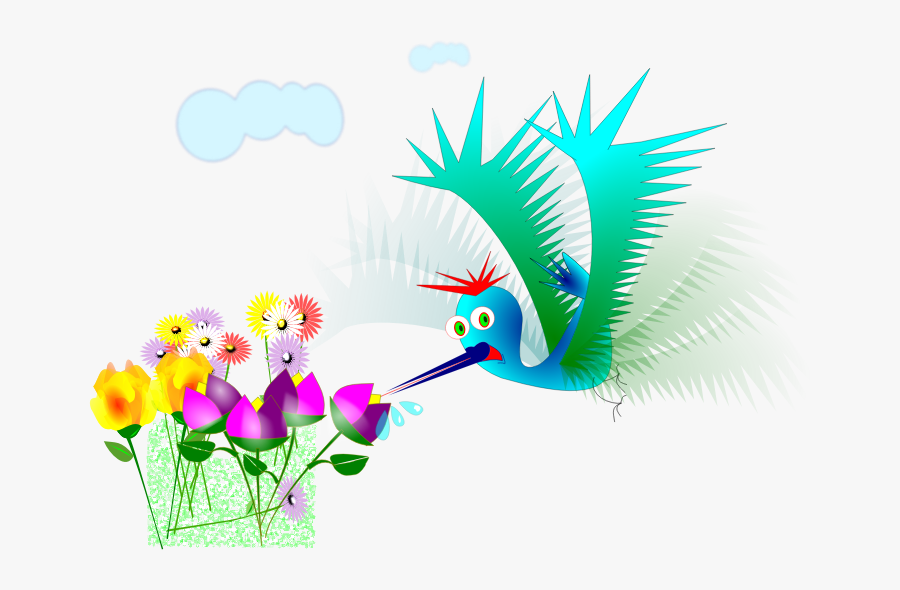 Hummingbird Free To Use Clipart - Beija Flor Png, Transparent Clipart