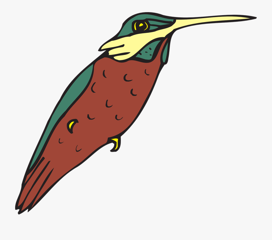 Hummingbird , Free Transparent Clipart - ClipartKey