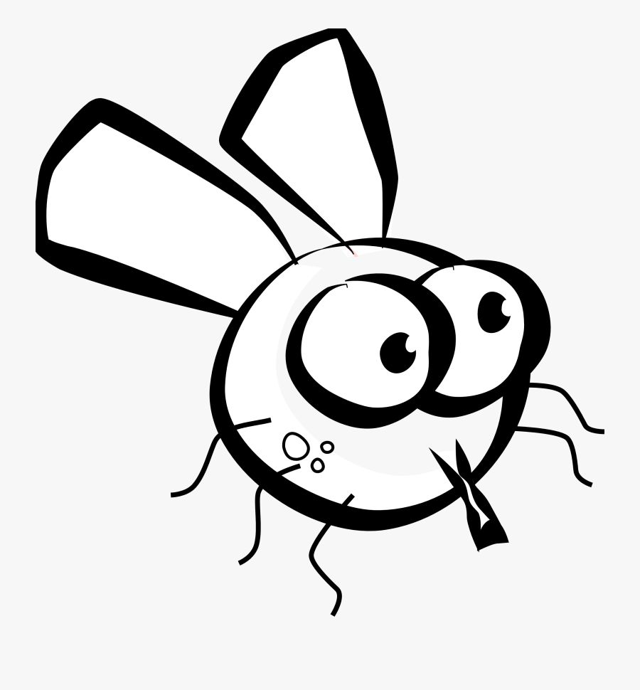 Fruit Fly Drawing At - Cartoon Fly Black And White, Transparent Clipart