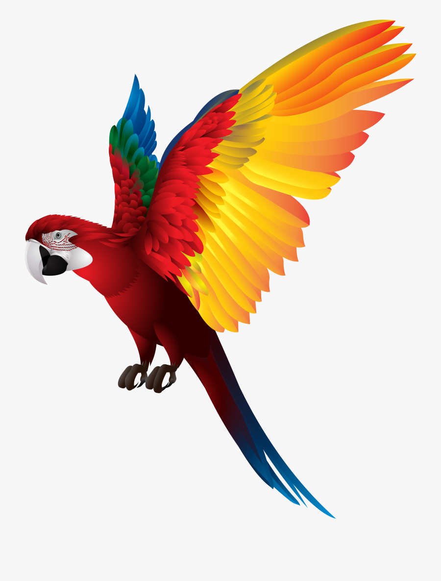 largest collection of free colorful flying birds png free transparent clipart clipartkey colorful flying birds png