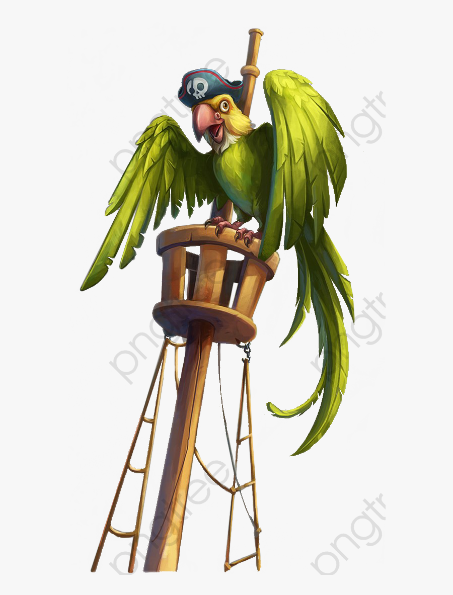 Pirate Parrot With Green Cap - Papagaio Pirata Png, Transparent Clipart