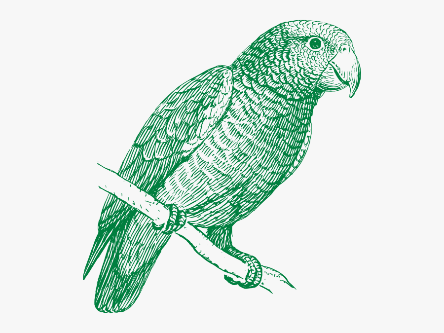 Green Parrot Svg Clip Arts - Parrot Png Black And White, Transparent Clipart