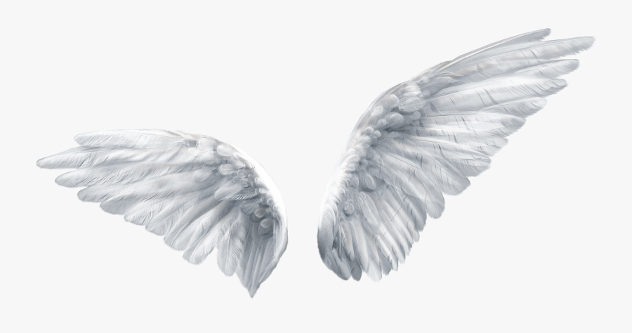 Wing Butterfly Angel Clip Art, Transparent Clipart