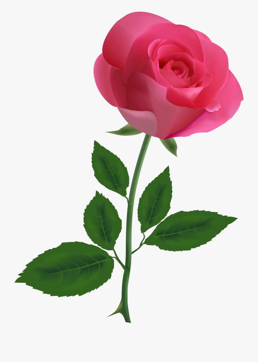 Roses Clipart Pink Flower - Pink Rose Clipart Transparent Background, Transparent Clipart