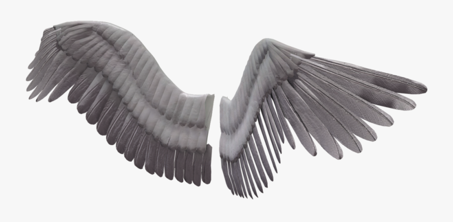 Realistic Angel Wings Png, Transparent Clipart