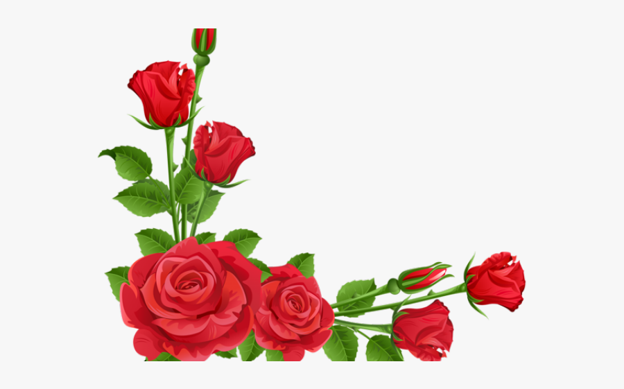 Red Roses Clipart - Design Of Flowers Borders, Transparent Clipart