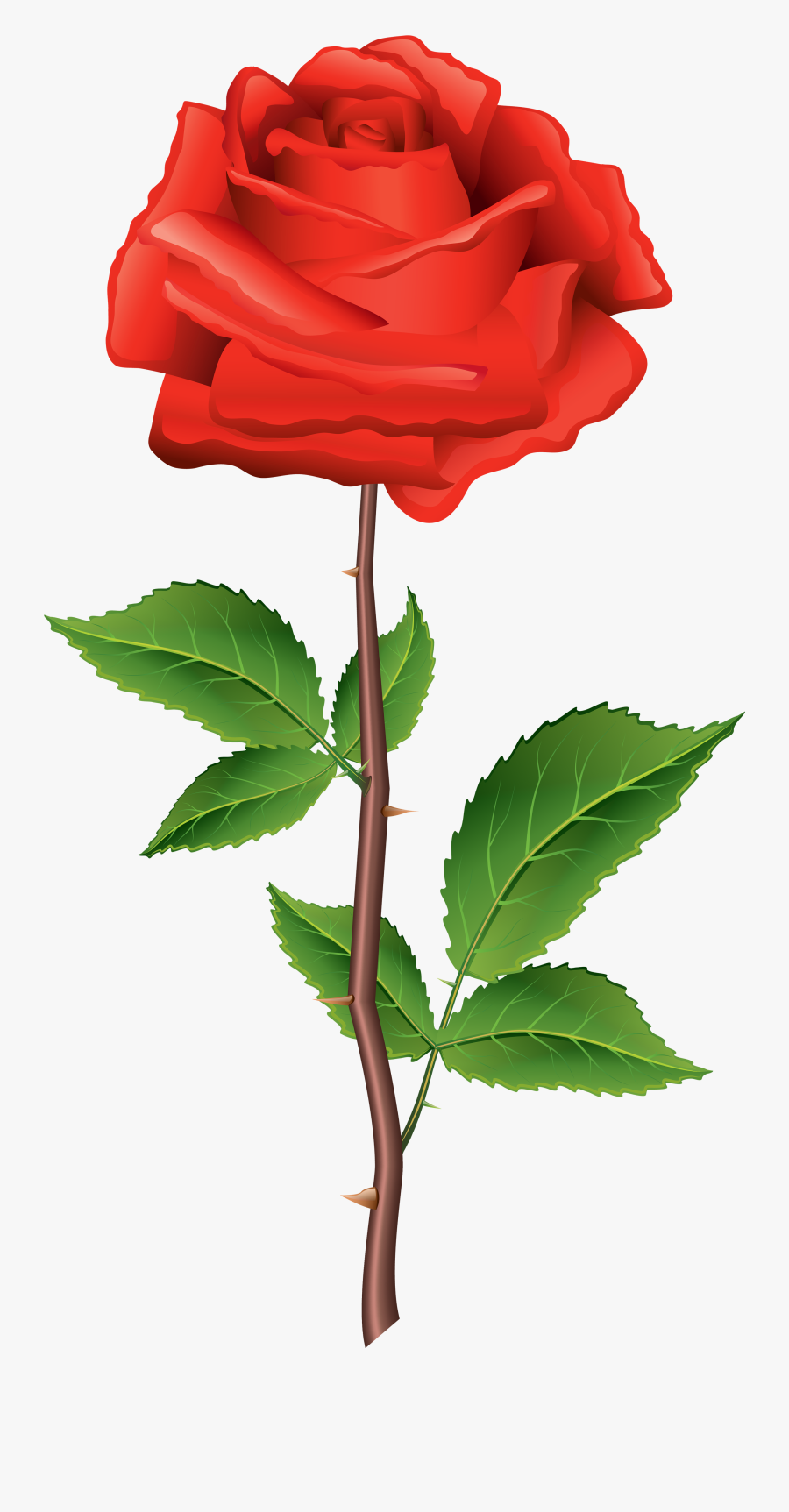 Beautiful Clipart Rose Flower - Png Roj , Free Transparent Clipart ...