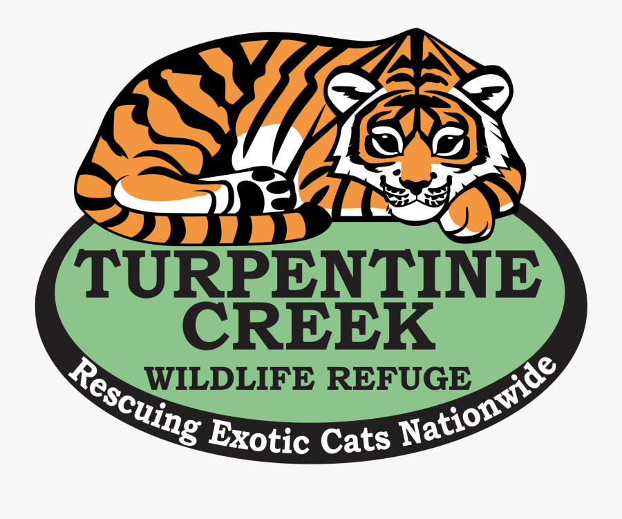 Turpentine Creek Wildlife Refuge - Eureka Springs Big Cat Refuge, Transparent Clipart