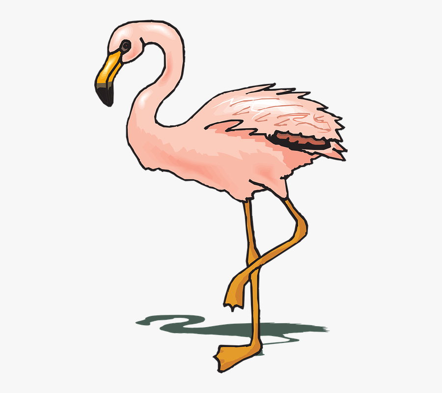Sunglasses Clipart Flamingo - Gambar Ilustrasi Flamingo, Transparent Clipart