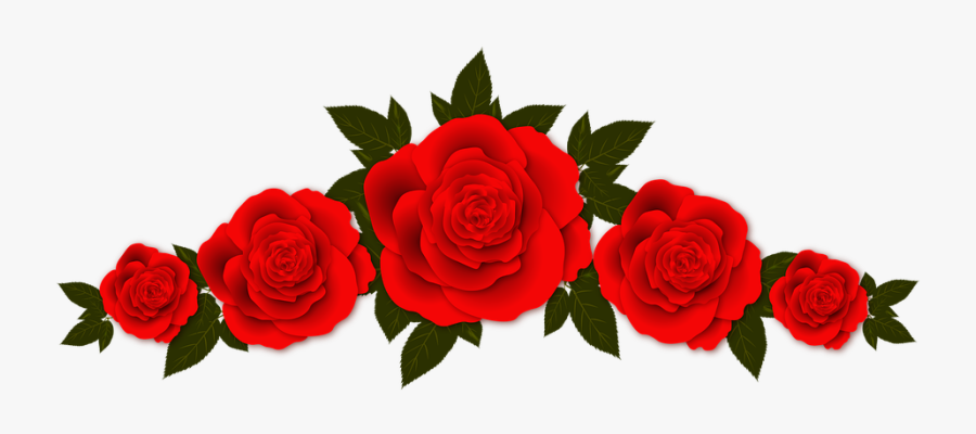 Roses Flowers Vignette &183 Free Image On Pixabay - Transparent Background Roses Clipart, Transparent Clipart