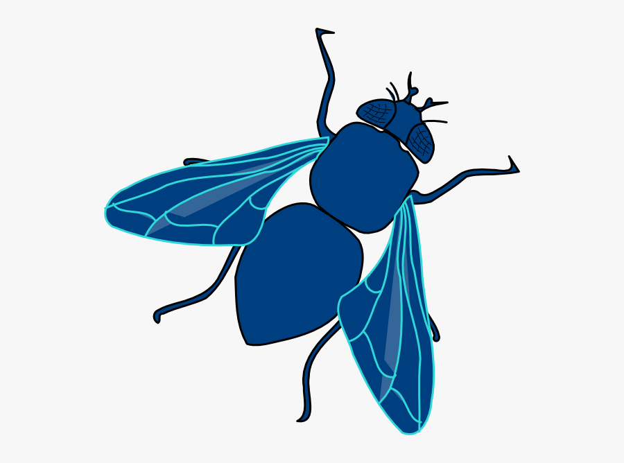 Fly Clipart - Fly Clip Art, Transparent Clipart