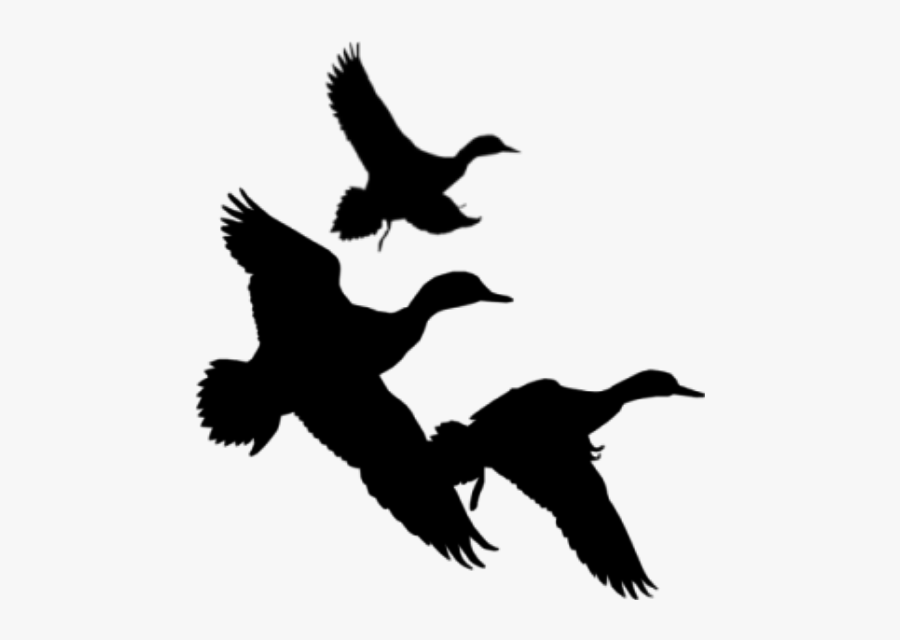 Ducks Flying Clipart Black And White, Transparent Clipart