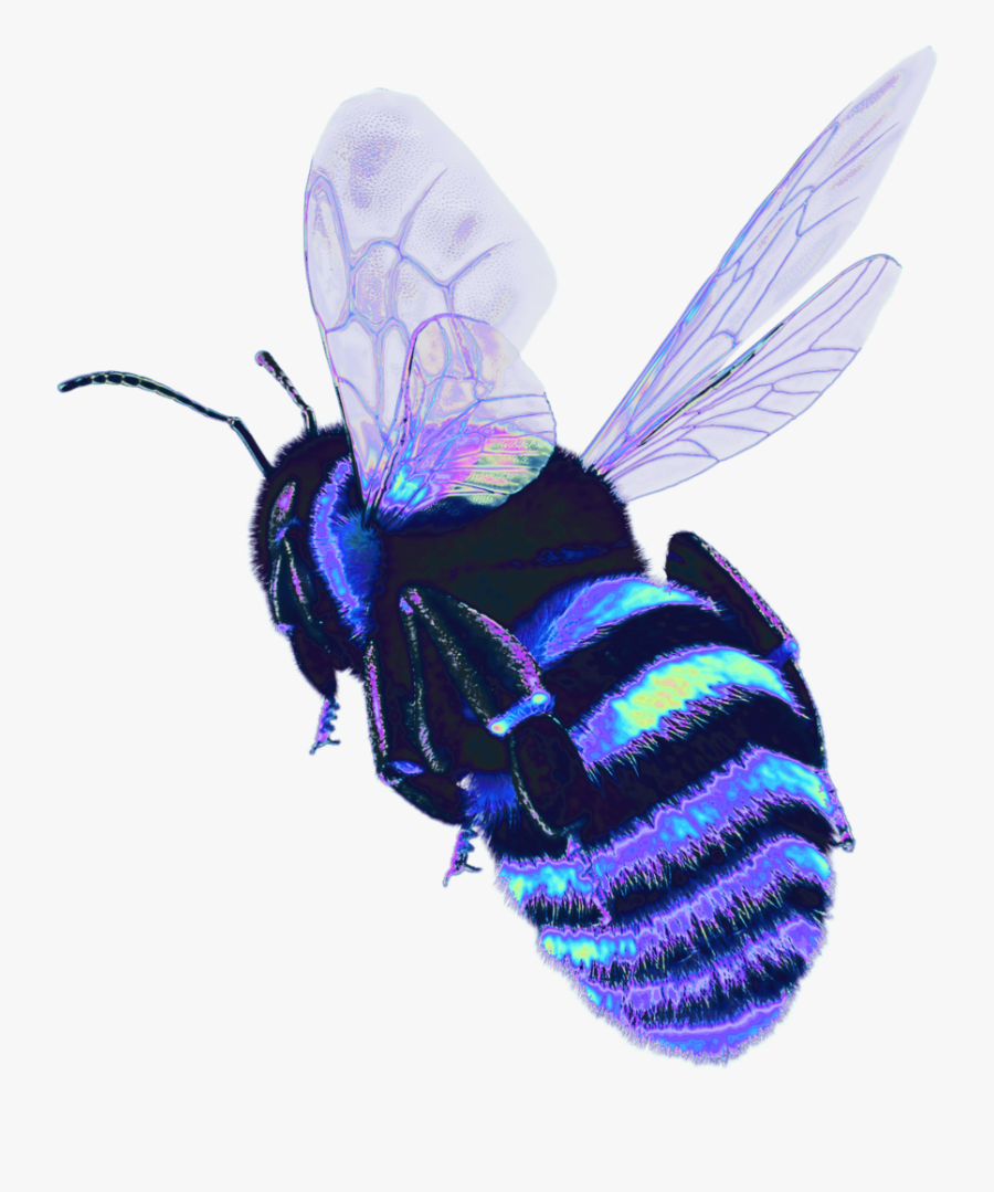 Bee Holo Holographic Bug Wings Fly Transparent - Bee Holographic, Transparent Clipart