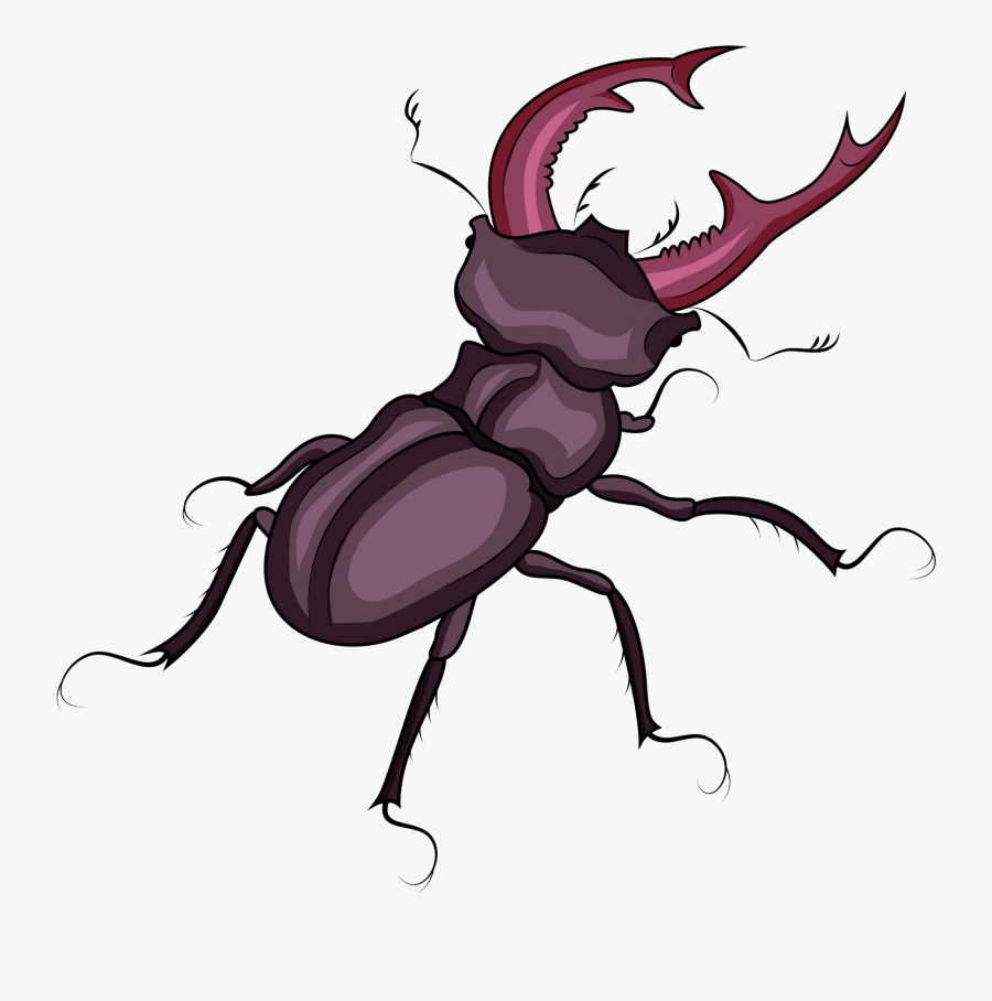 Dung Beetle, Transparent Clipart