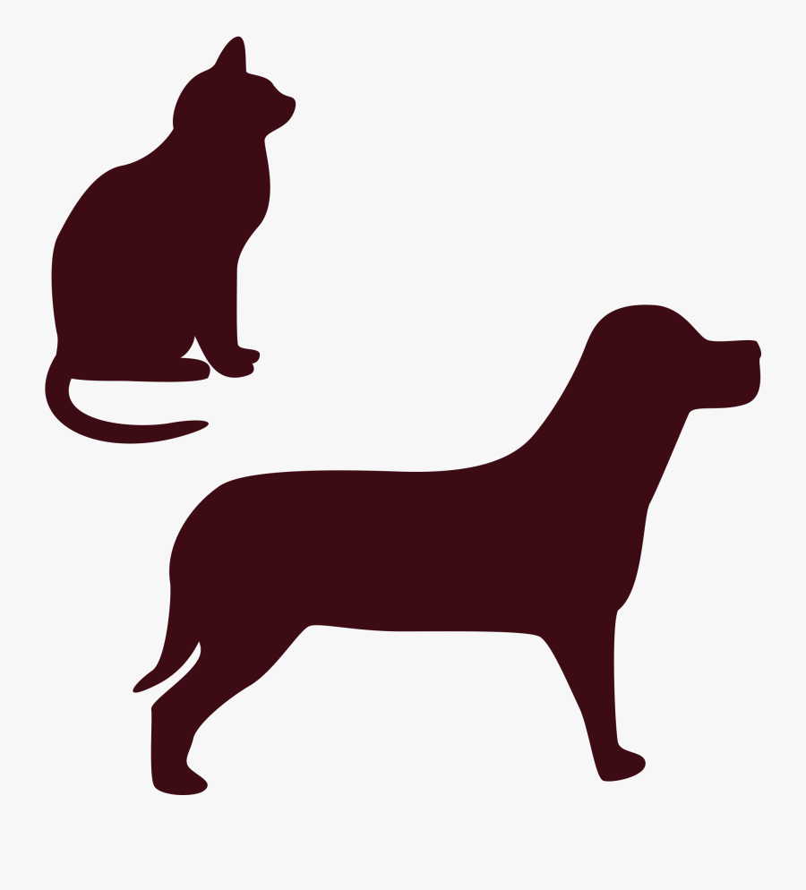 Image Library Download Bombay Kitten Dogu Relationship - Pet Adoption, Transparent Clipart