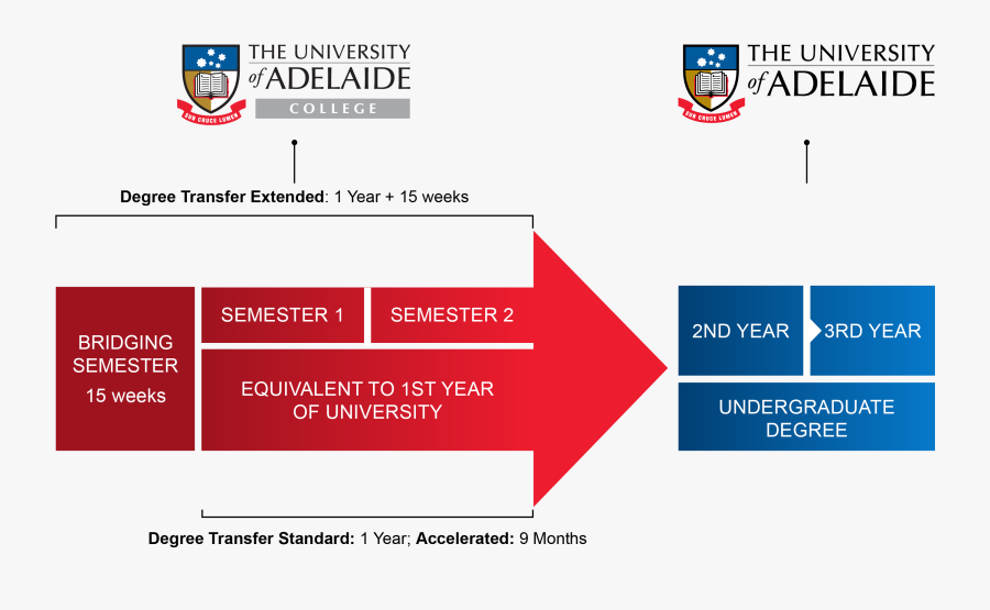 University Of Adelaide Classes, Transparent Clipart