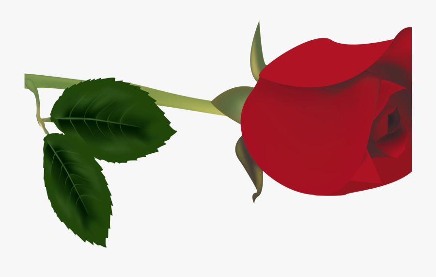 Transparent Red Flower Clipart - Capullo De Rosa En Png, Transparent Clipart