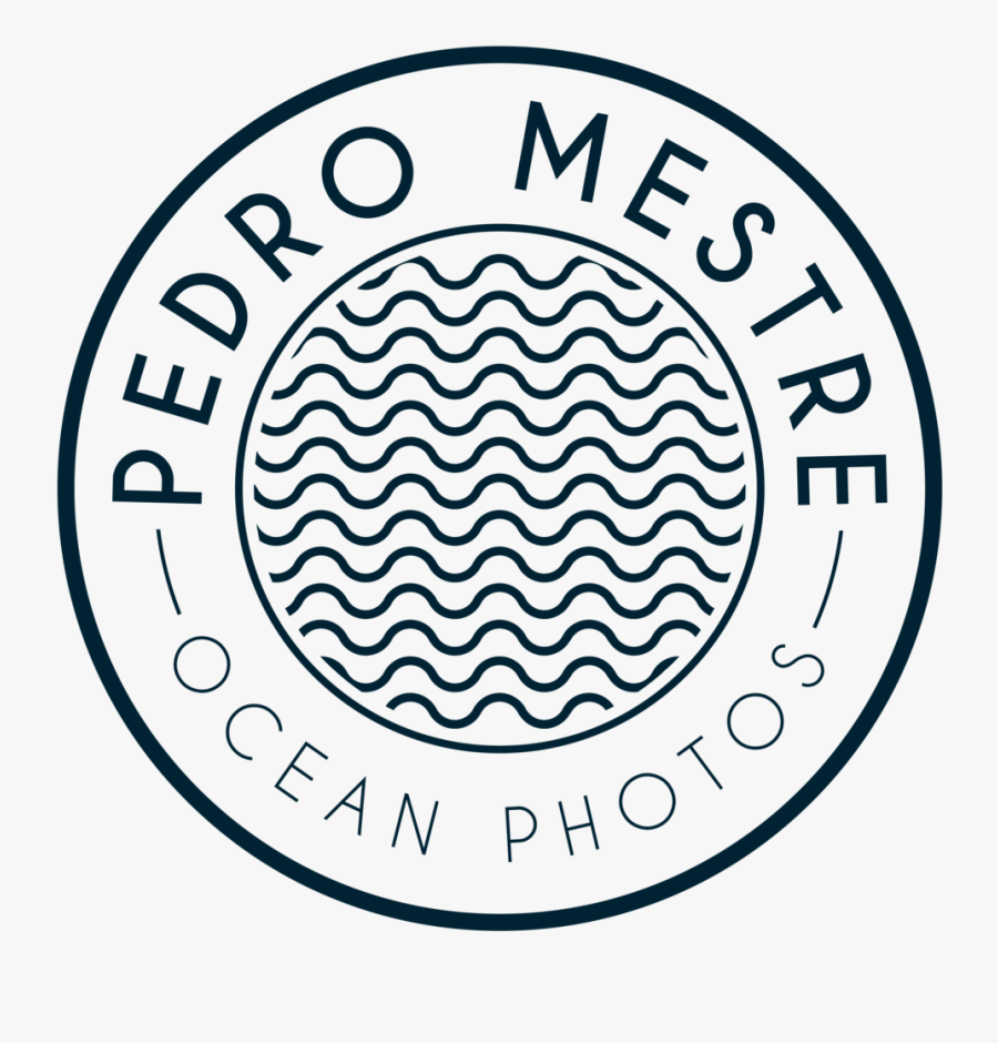 Pedro Mestre Portfolio - Bliss Events By Bonnie Chase, Transparent Clipart