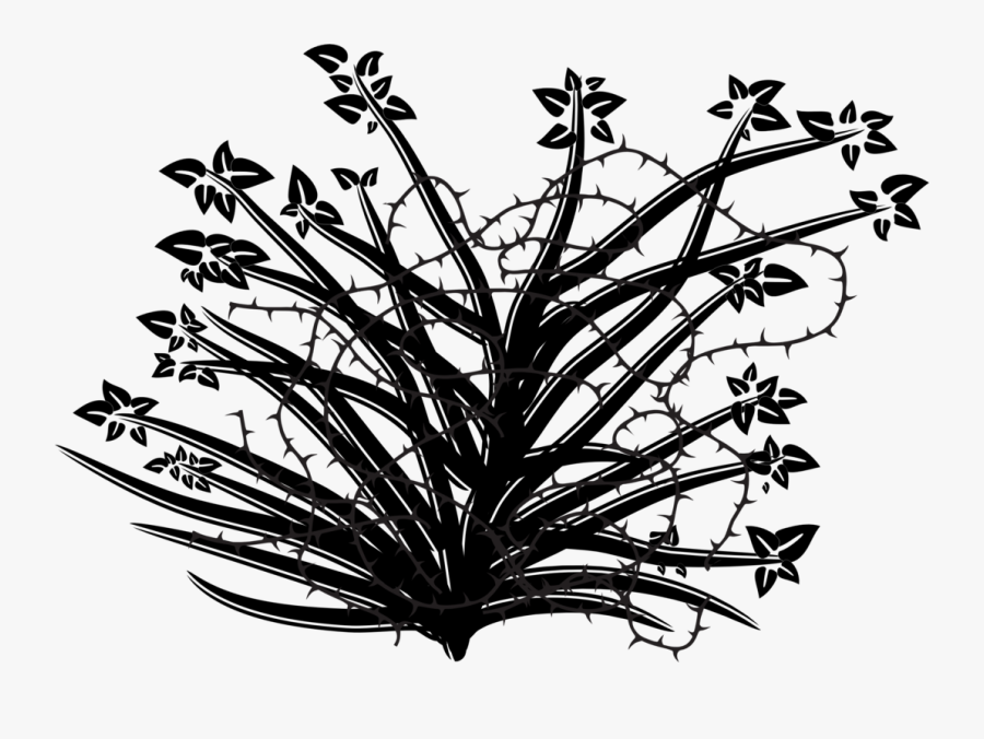 Plant,flora,leaf - Illustration, Transparent Clipart